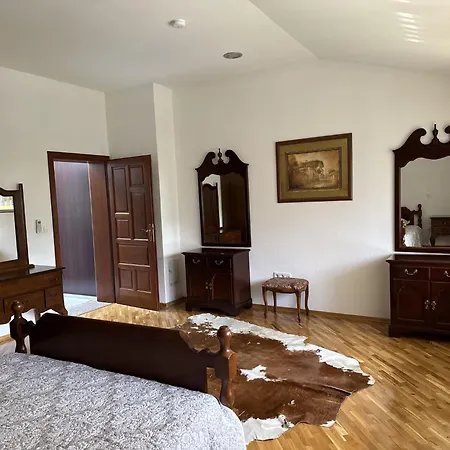 Tradicional Center With Parking - Villa Saraybosna