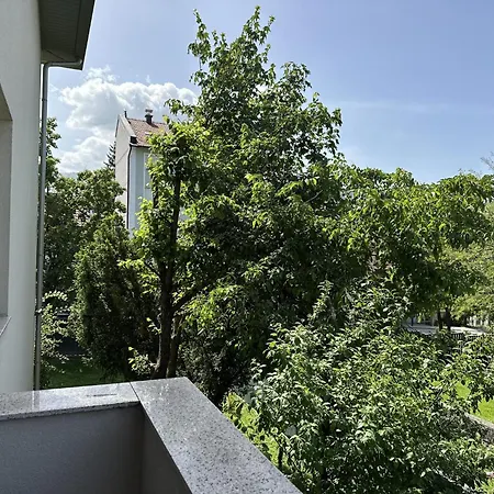 Tradicional Center With Parking - *